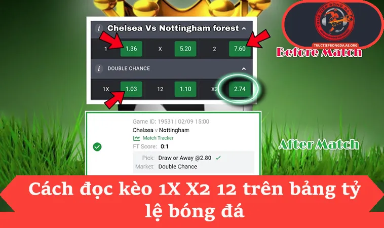 Cách đọc kèo 1X X2 12 trên bảng tỷ lệ bóng đá