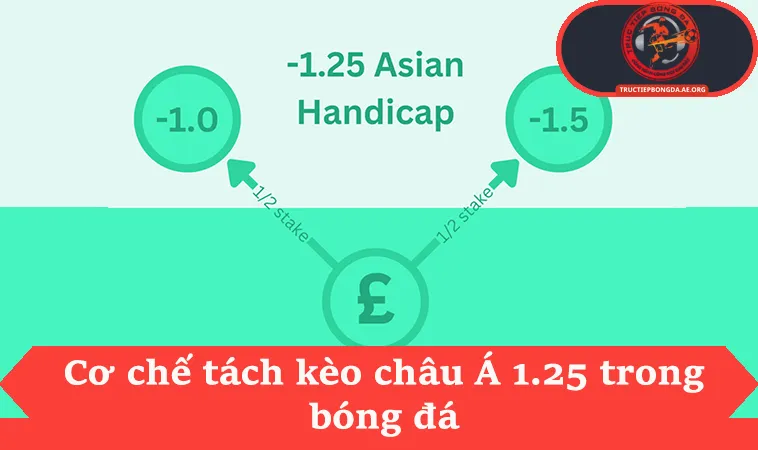 Cơ chế tách kèo châu Á 1.25 trong bóng đá