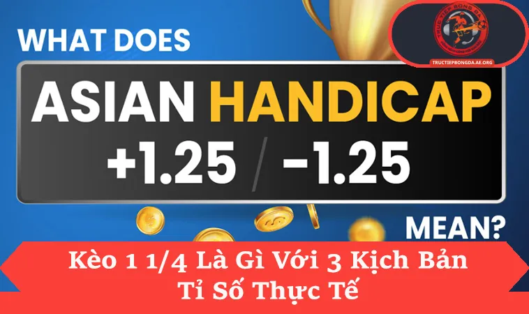 Kèo 1 1/4 Là Gì Và Cách Tính Thắng Thua Nửa Tiền
