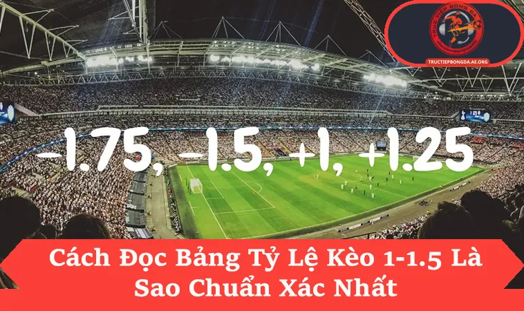 Giải Mã Kèo 1-1.5 Là Sao Và Điểm Khác Biệt Với Kèo 1 Trái