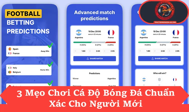 Mẹo Chơi Cá Độ Bóng Đá Từ 3 Kinh Nghiệm “Xương Máu”