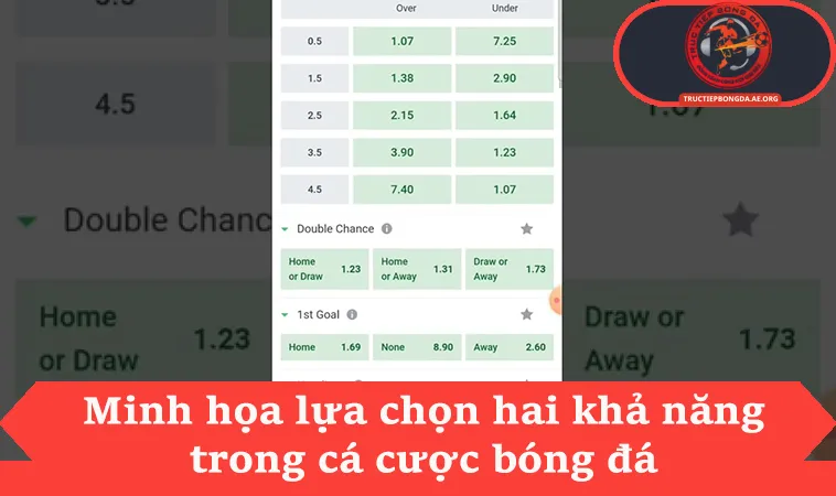 Minh họa lựa chọn hai khả năng trong cá cược bóng đá