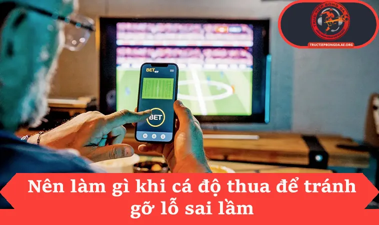 Nên làm gì khi cá độ thua để tránh gỡ lỗ sai lầm