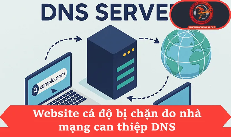 Website cá độ bị chặn do nhà mạng can thiệp DNS