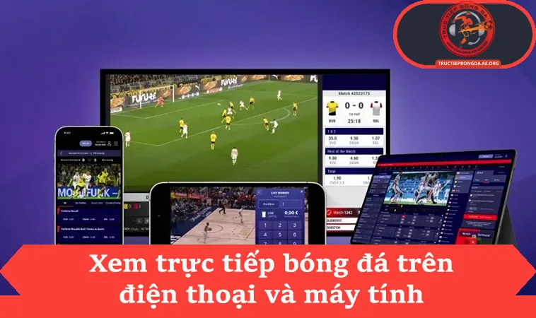 Xem trực tiếp bóng đá trên điện thoại và máy tính